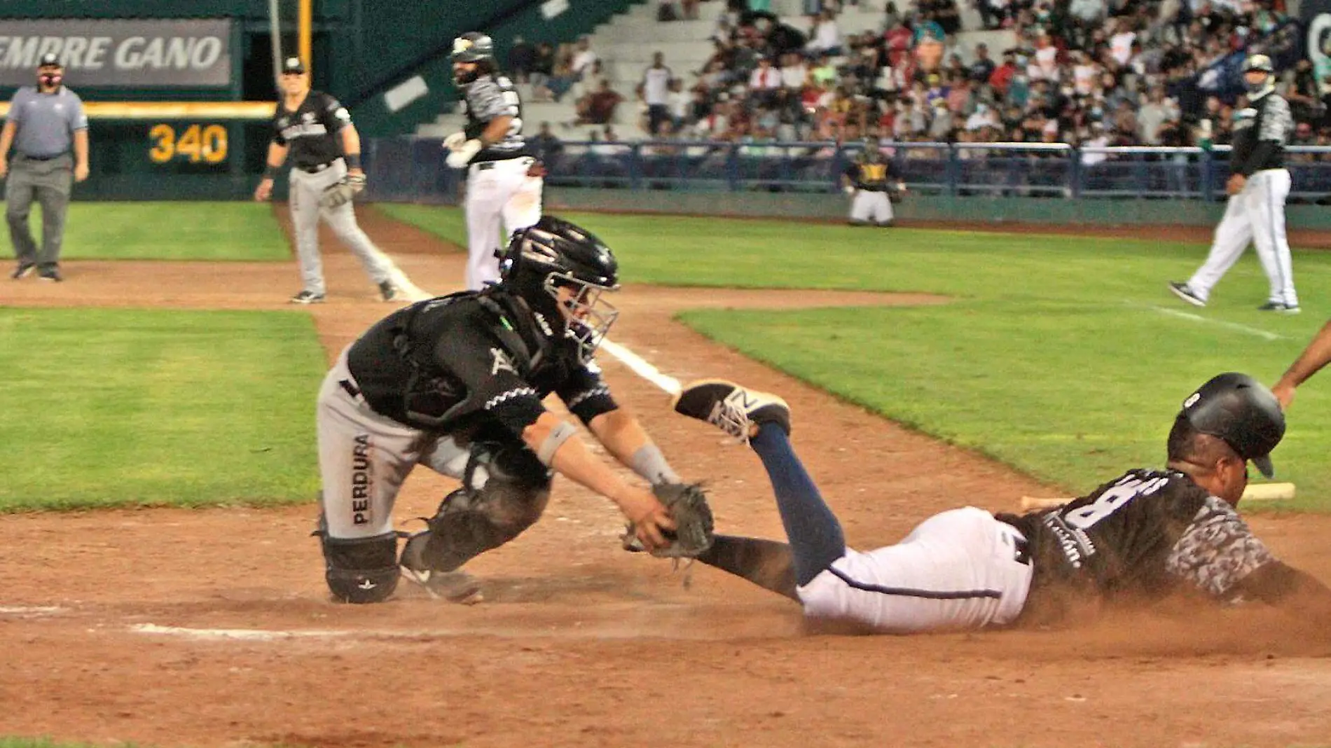 jugadores de beisbol 